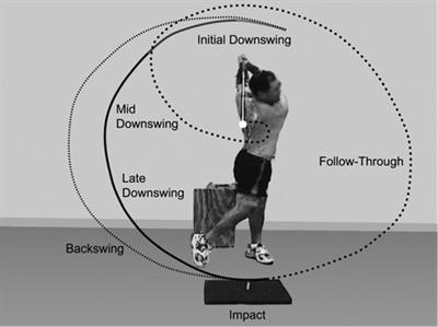 Back discount swing exercise